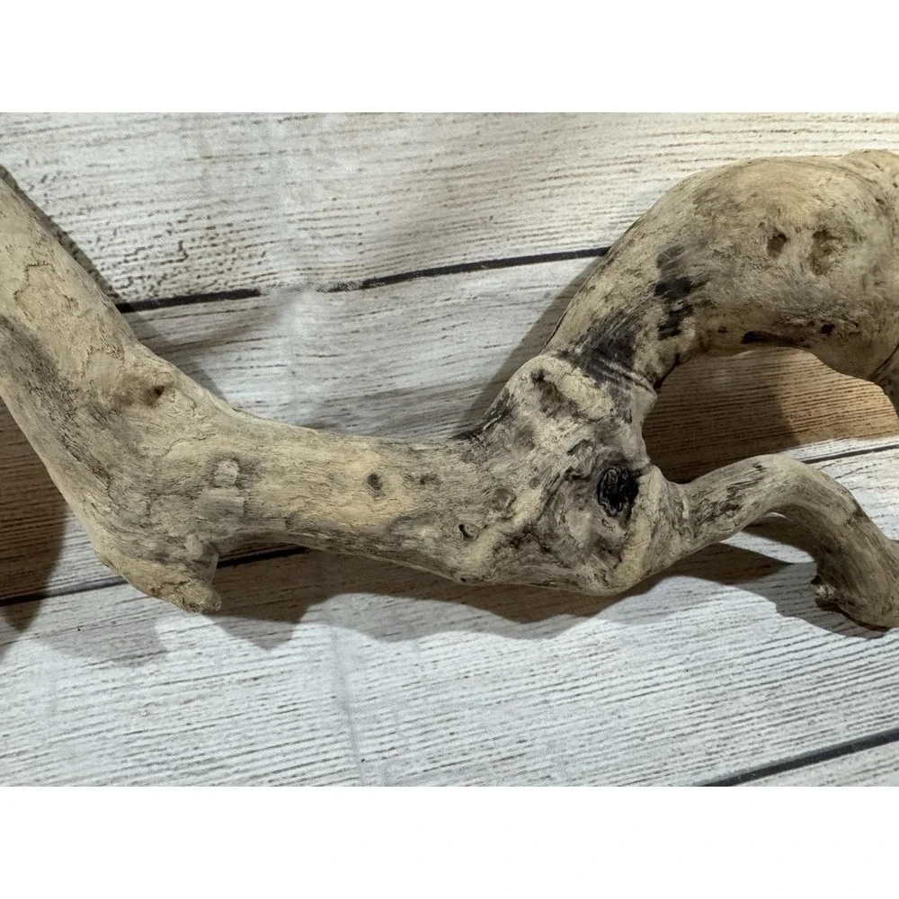 Vtg Piece of Driftwood that looks like a Dinosaur or Snake 17
